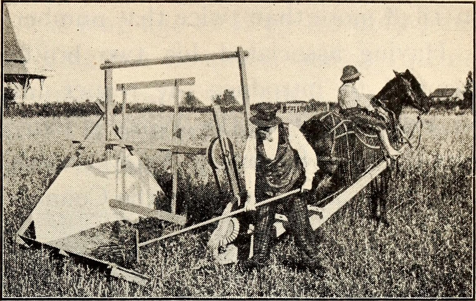Жатка Маккормика, 1904 год, США