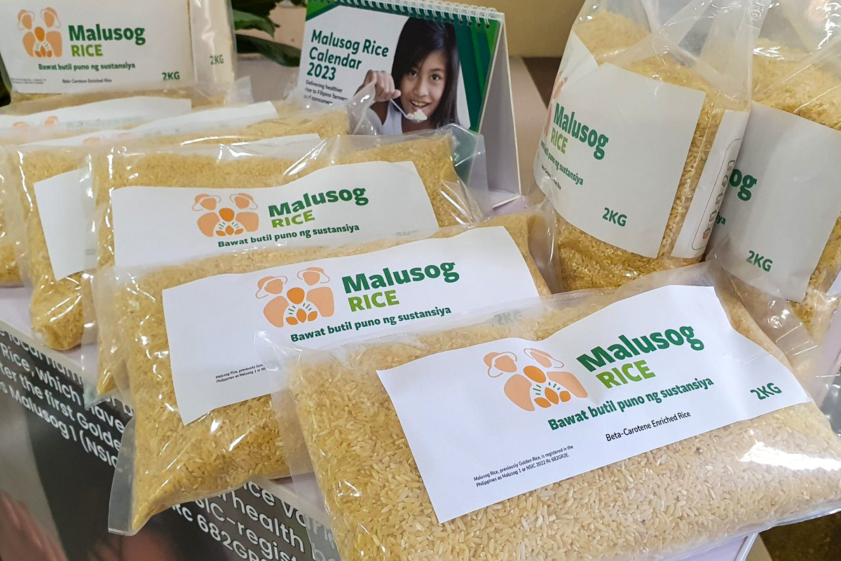 Филиппинский золотой рис под маркой Malusog ©Philippine Information Agency